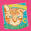 Tar-Zhay the orange tabby cat is The Cannoli Fund's 2015 Fiesta San Antonio Medal model