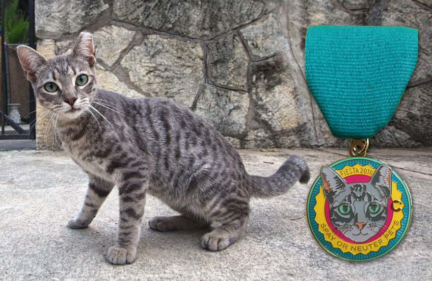 2016 fiesta medal cat model San Antonio
