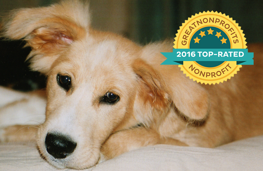 top-rated nonprofit